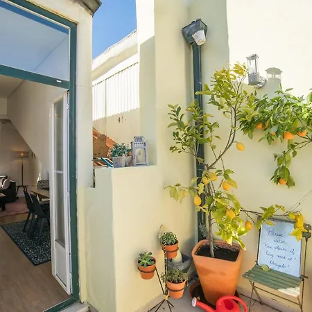 Apartment Jolly Jolie W Terrace *
