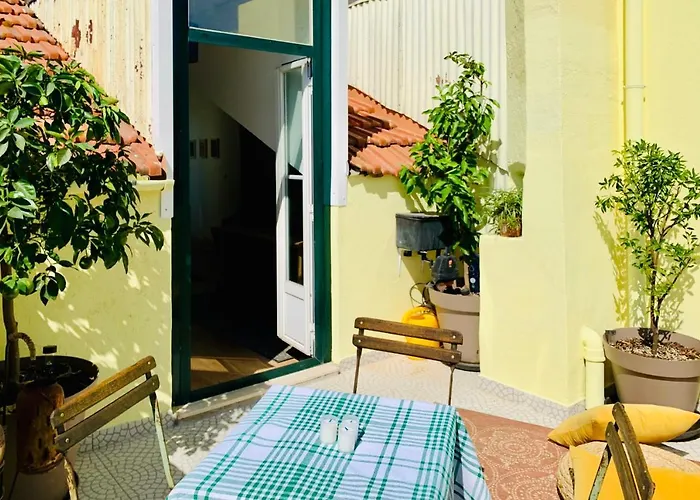 Jolly Jolie W Terrace